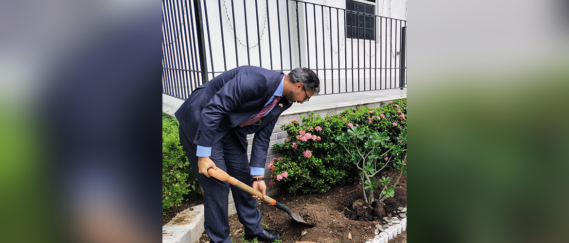  High Commissioner plants a tree during 'Ek Ped, Maa ke Naam' campaign